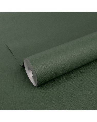 Papier peint intissé uni feuilles élégance vert 1005x52cm