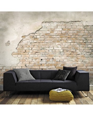 Papier peint panoramique intissé Dublin pierres gris ocre 300x300cm