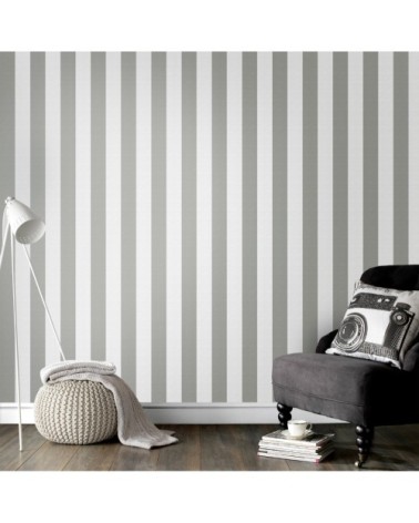 Papier peint intissé Lynn rayures gris blanc 1005x52cm