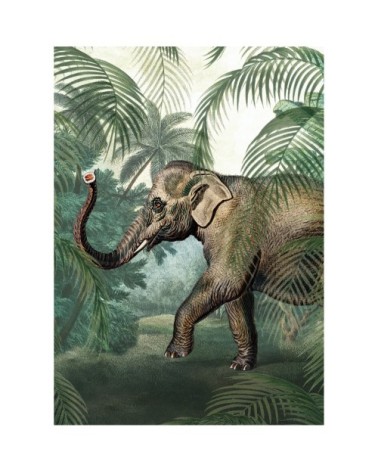 Papier peint panoramique éléphant vert marron 280x200cm